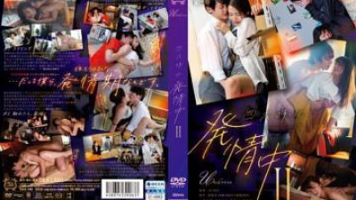 SILK-146 - 항상 더위에 II