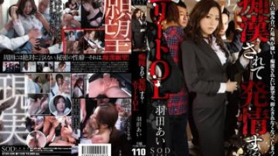 STAR-336 - 성추행 당해 발정… 엘리트 OL 하네다 아이