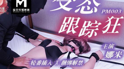 PM-003 Perverted Stalker