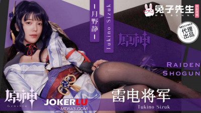 Mr. Rabbit.TZ-117.Tsukino Shizuka.Unspoken rules during interview.Genshin Impact Raiden General cosplay