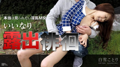 Caribbeancom-050815-872 순종적인 노출 방황