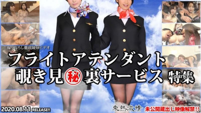 Tokyo-Hot-n1484 TOKYO HOT 열혈 스튜어디스 엿보는 경호원 특집 3