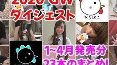 FC2-PPV-1353080 【개인 촬영 141】2020 GW 다이제스트!  - 1~4월 발매분 23개 정리!