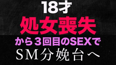 FC2-PPV-3176391 &#039;동정상실&#039;, 진정한 순결상실!  - - &quot;이번이 마지막 모습&quot; 반년 전까지만 해도 30대 고교생이었고, 동정을 잃은 지 6개월 만에 처음으로 카섹스를 시도하고 SM 호텔에서 분만대에 도전했다!  - - !  - - , 18 살!  - - 개인샷 294