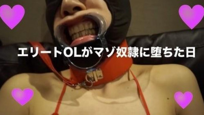 FC2-PPV-1076546 fc2-ppv 1076546 풀마스크 마조히스트로 변신한 엘리트 OL 료코 : 성처리 요원 취급에 희열을 느끼기 시작한 이상형 반려동물에게 : 구매 특전은 평소 ZIP 이고 리뷰 특전은 다음번에 Menesplay